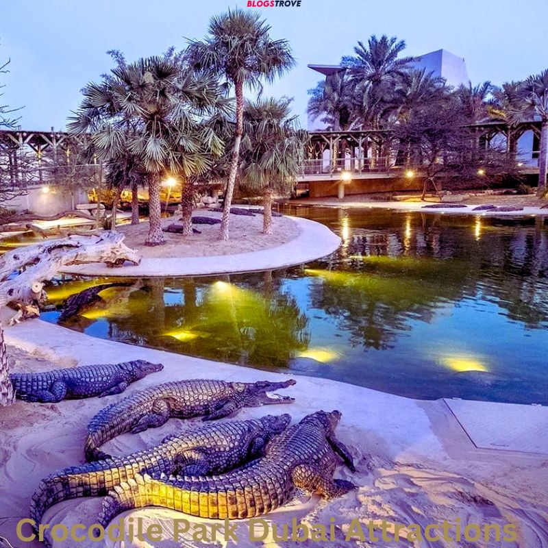 Crocodile Park Dubai Attractions