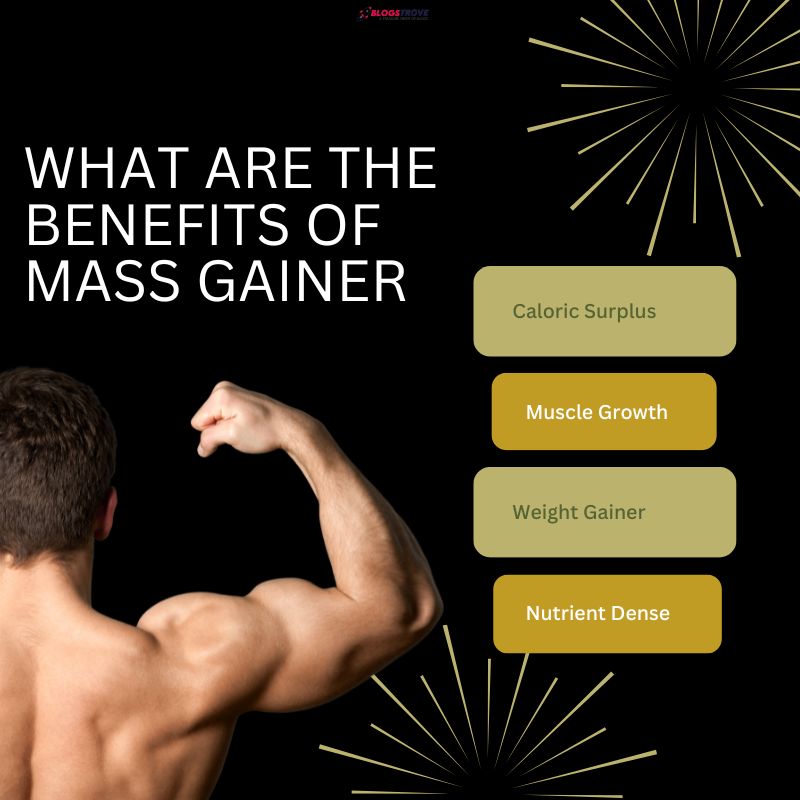 What Are The Benefits Of Mass Gainer