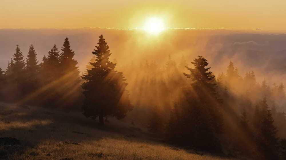Where Does The Sun Rise First And Set? Interesting Facts Discussed