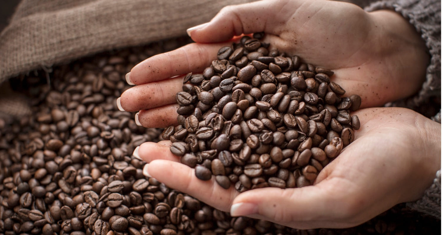How To Choose The Best Coffee Beans For Your Taste