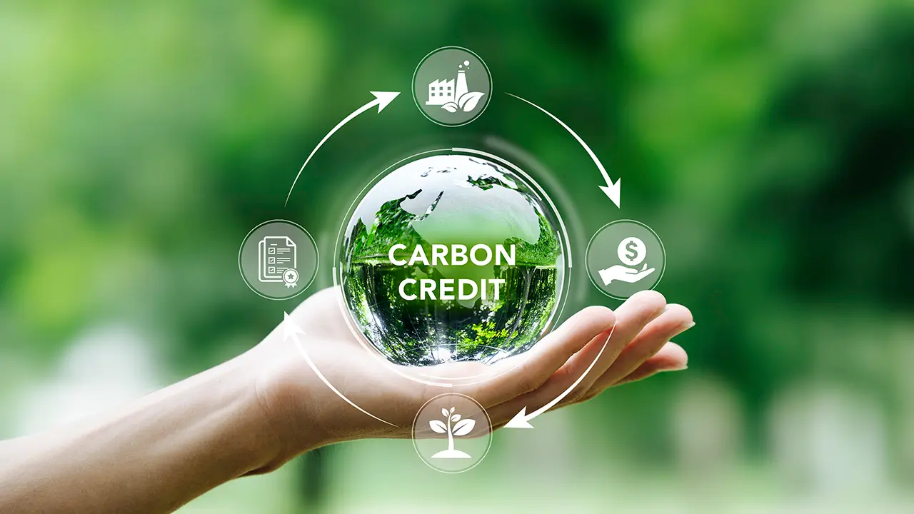 Maximizing Impact: The Role Of Carbon Credit And Carbon Offsetting In Corporate Sustainability