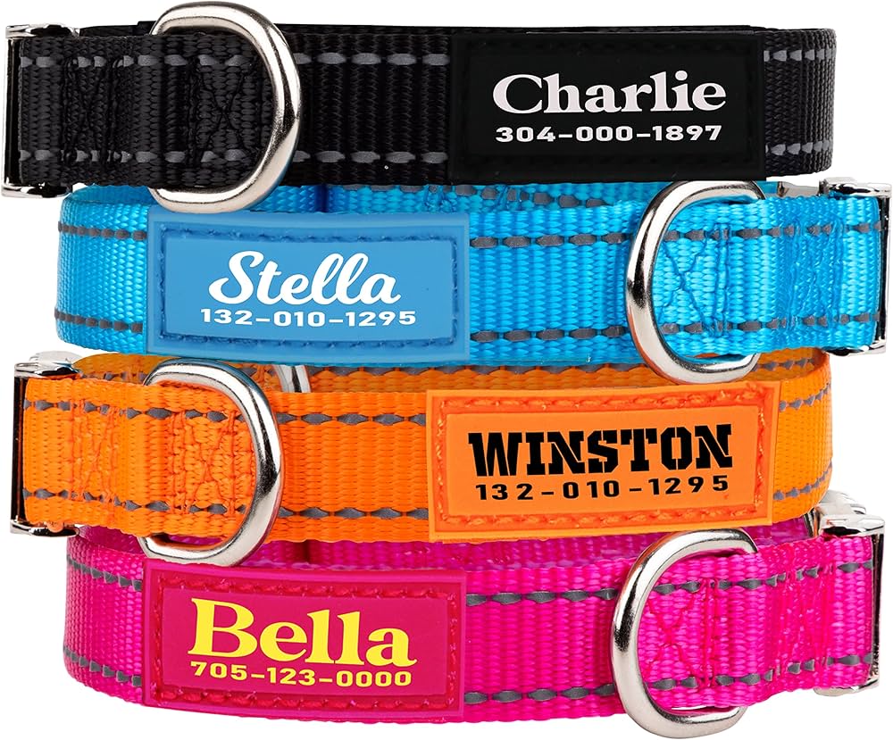 Custom Dog Collars: Why They’re A Stylish And Durable Choice For Your Dog