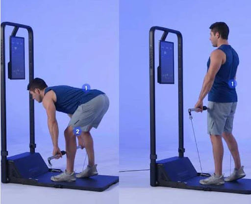 Why You Should Add The Romanian Deadlifts Into Your Routine