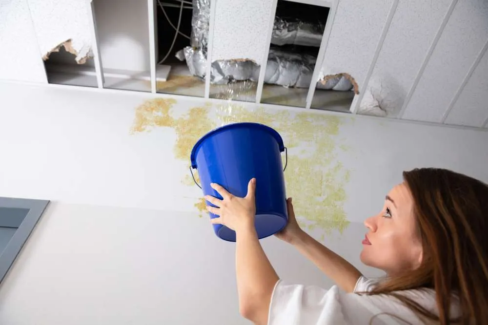 Mastering Water Damage Prevention And Repair: A Comprehensive Guide