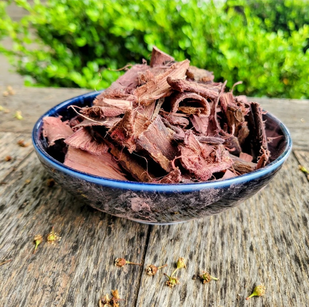 Buy Mimosa Hostilis Bark - Premium Quality & Free Shipping
