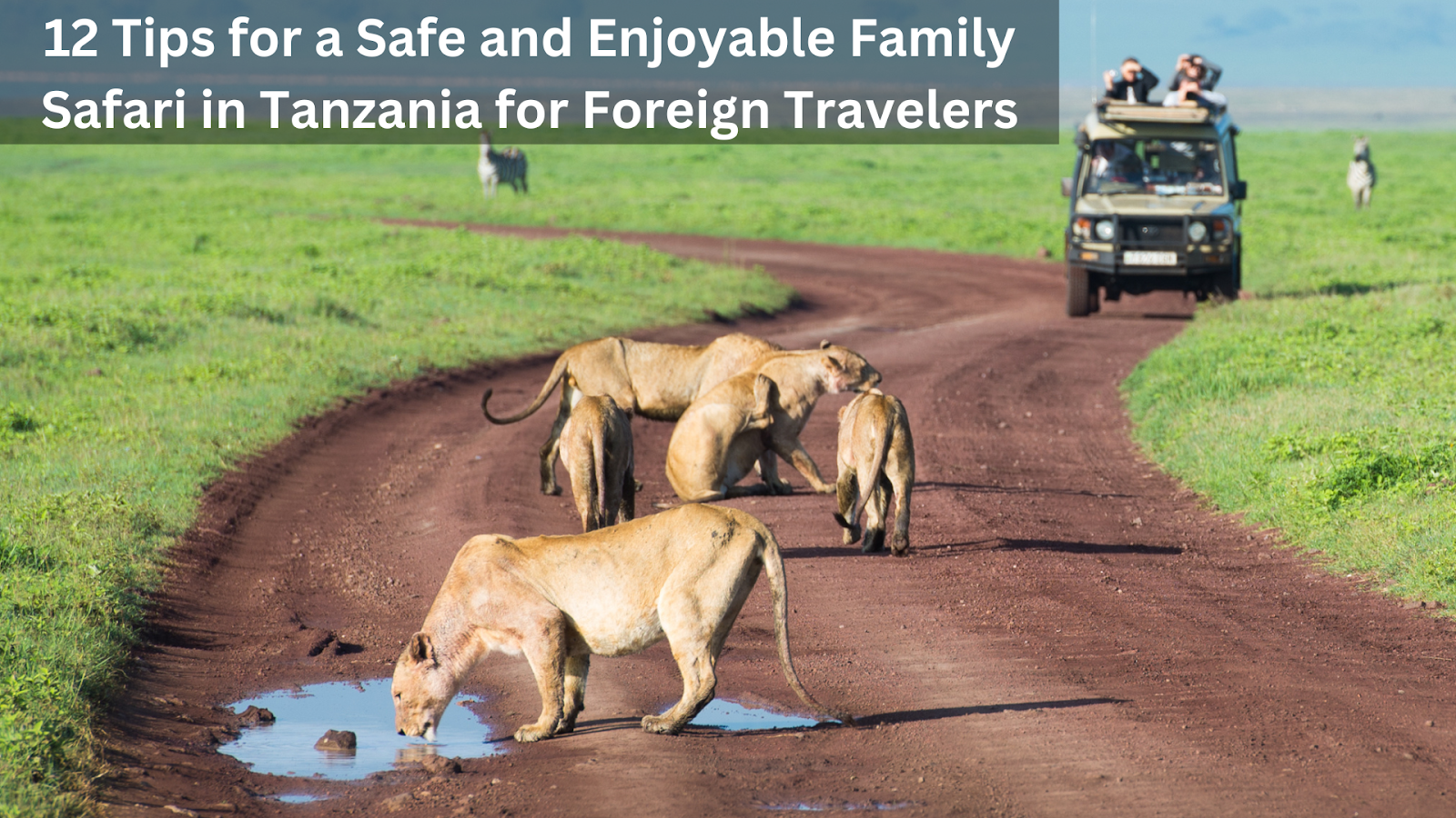 12 Tips For A Safe And Enjoyable Family Safari In Tanzania For Foreign Travelers