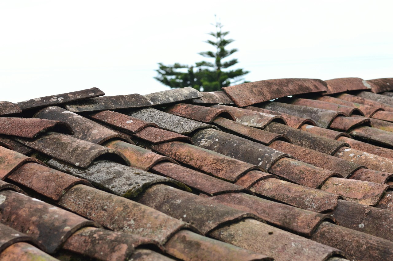 5 Signs Your Roof Needs Immediate Attention