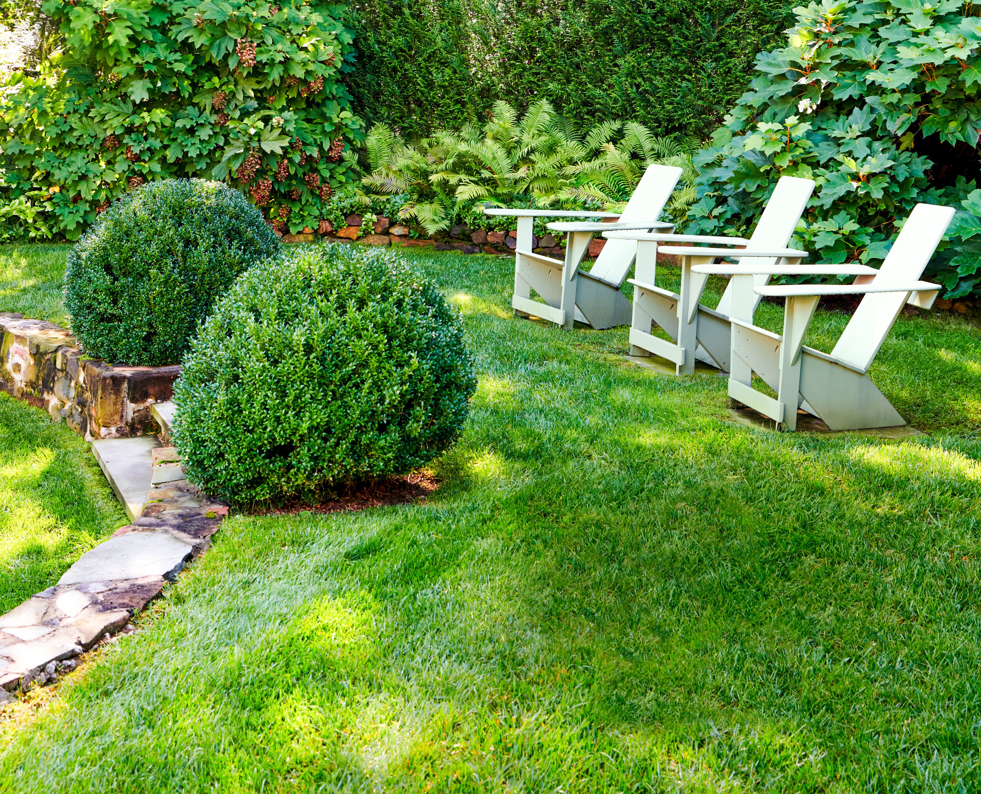 Achieve A Vibrant Lawn: Essential Tips For Fertilizing Your Yard