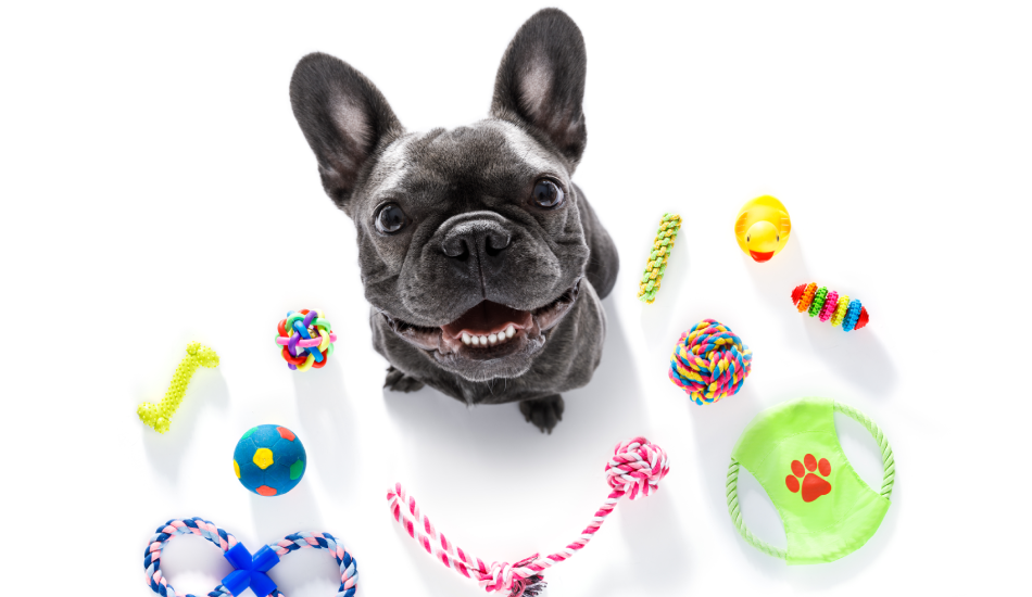 Essential Supplies For Pets: Are They Worth It?