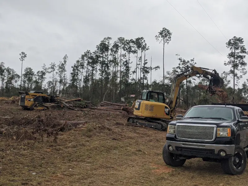 Which Land Service Is Right For Your Property Goals? A Breakdown Of Clearing, Mulching, And Tree Rem
