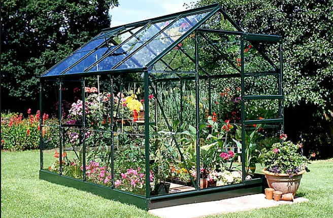 The Complete Guide To Greenhouse Glass: Types, Benefits, And Expert Insights​