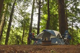 Smart Ways To Grow Your Campsite Business