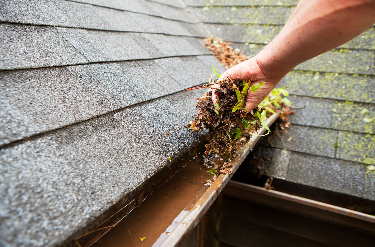 Everything Homeowners Should Know About Gutters: Maintenance, Benefits, And Smart Solutions From JR 