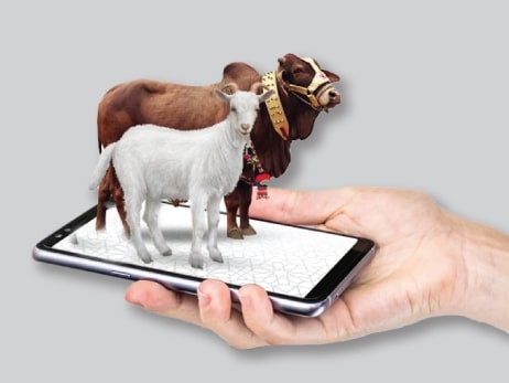 Step-by-Step Guide To Qurbani Booking