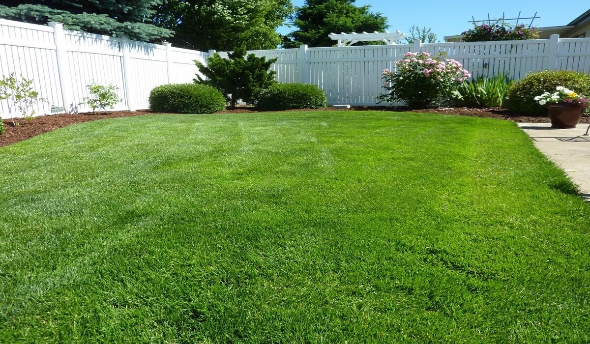 Is Artificial Turf Really Eco-Friendly? Pros And Cons For The Environment