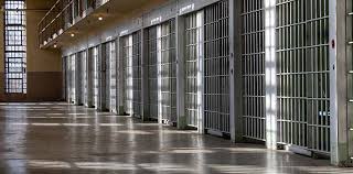 Understanding The Nexus Between State Prison And Federal Prison