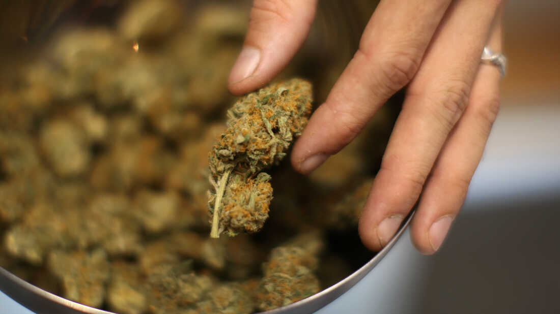 Why Some Hemp Products Make You Sleepy While Others Energize You