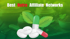 From Clicks To Conversions: Tracking Best Practices For A Nutra Affiliate Network On WordPress