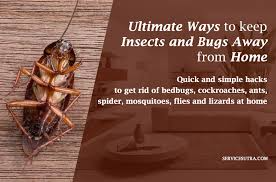 How To Keep Unwanted Insects Out Of Your Home