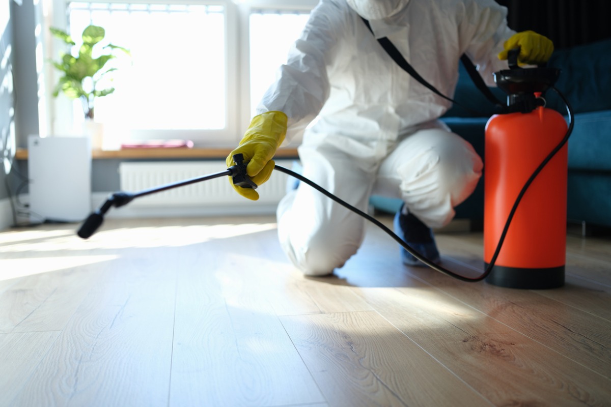 Sick Of Pests? Here’s Why Eagle, Idaho Residents Trust These Proven Pest Control Methods