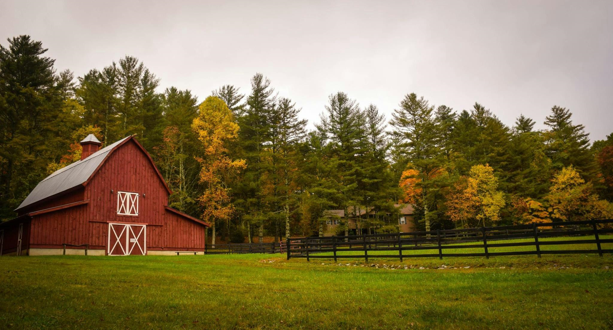 5 Essential Farm Or Ranch Gadgets For Small Property Owners