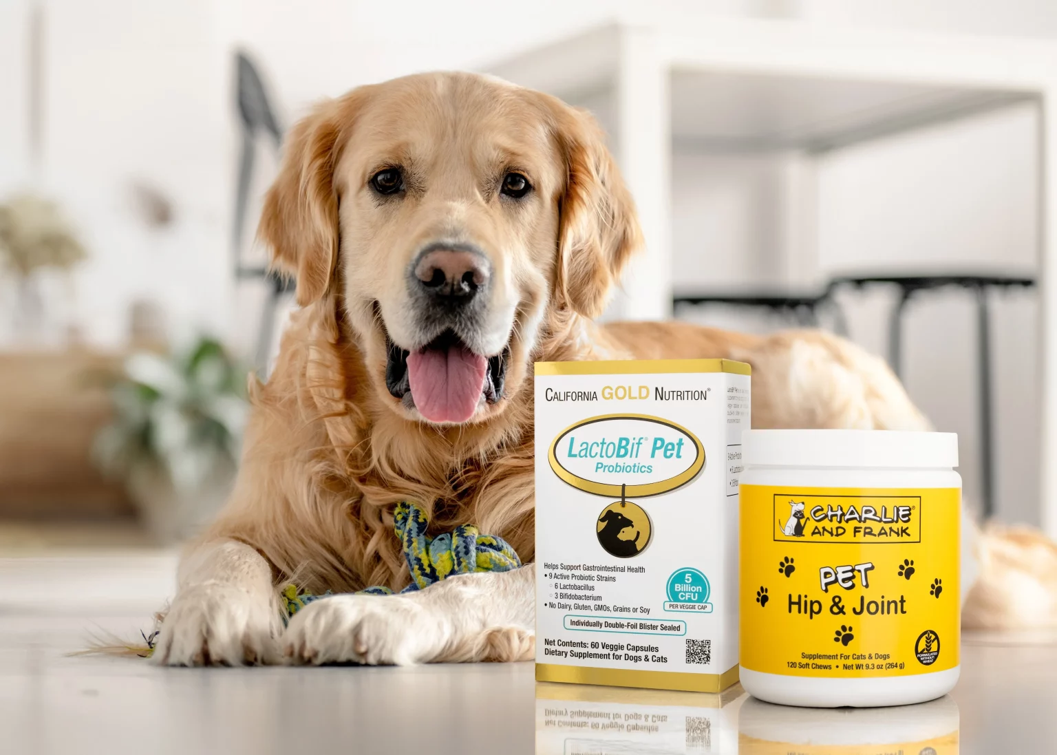 Pet Wellness Trends 2025: How IHerb Is Revolutionizing Pet Health And Longevity