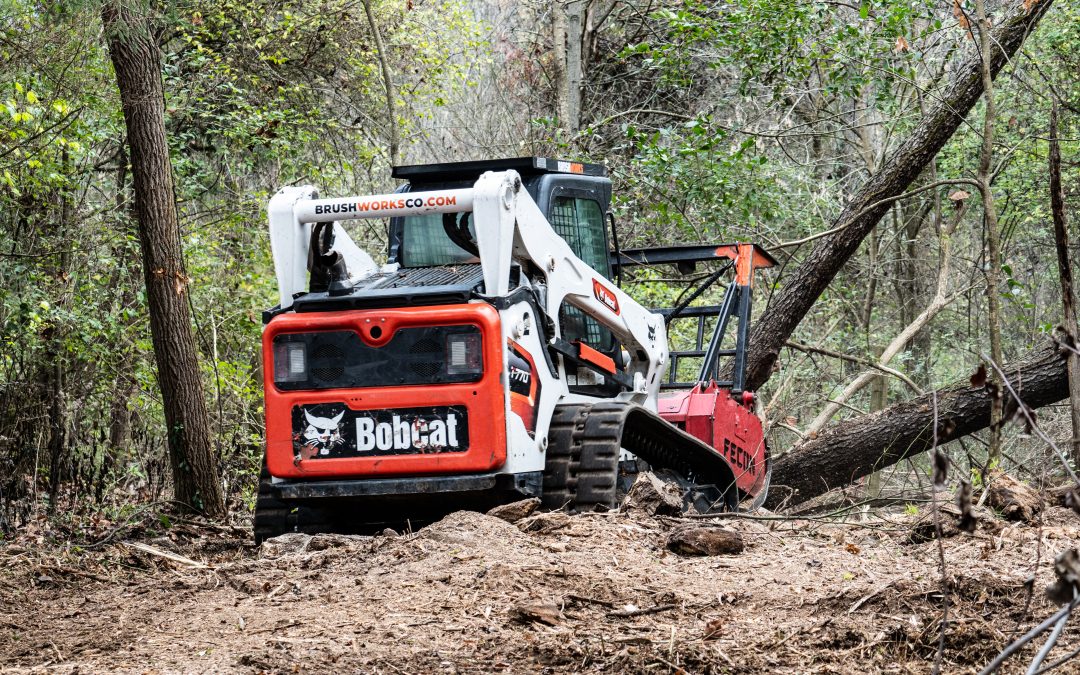 Understanding Forestry Mulching: A Sustainable Land Clearing Solution