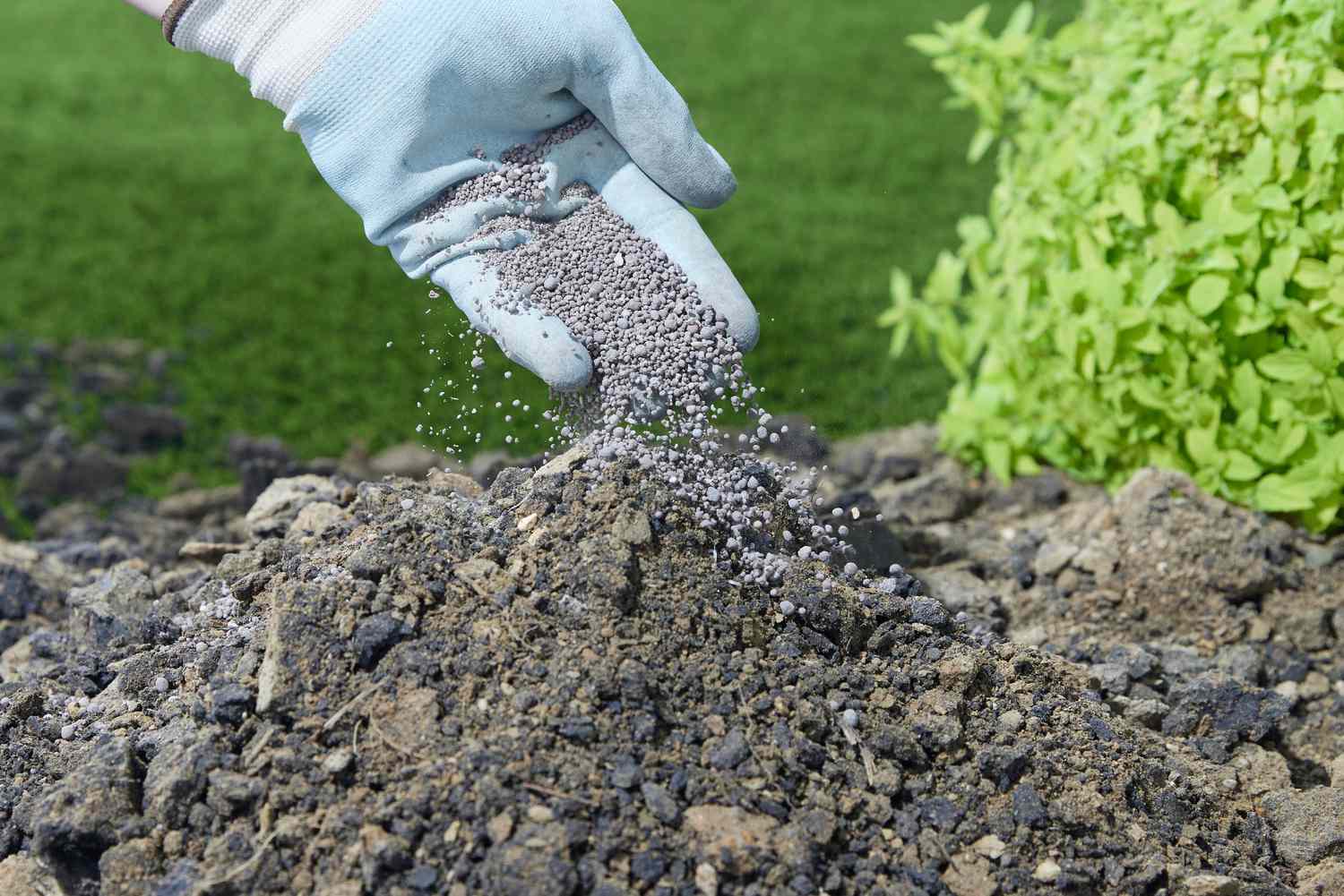 Boost Your Garden’s Growth: The Benefits Of Calcium & Magnesium Soil Amendments