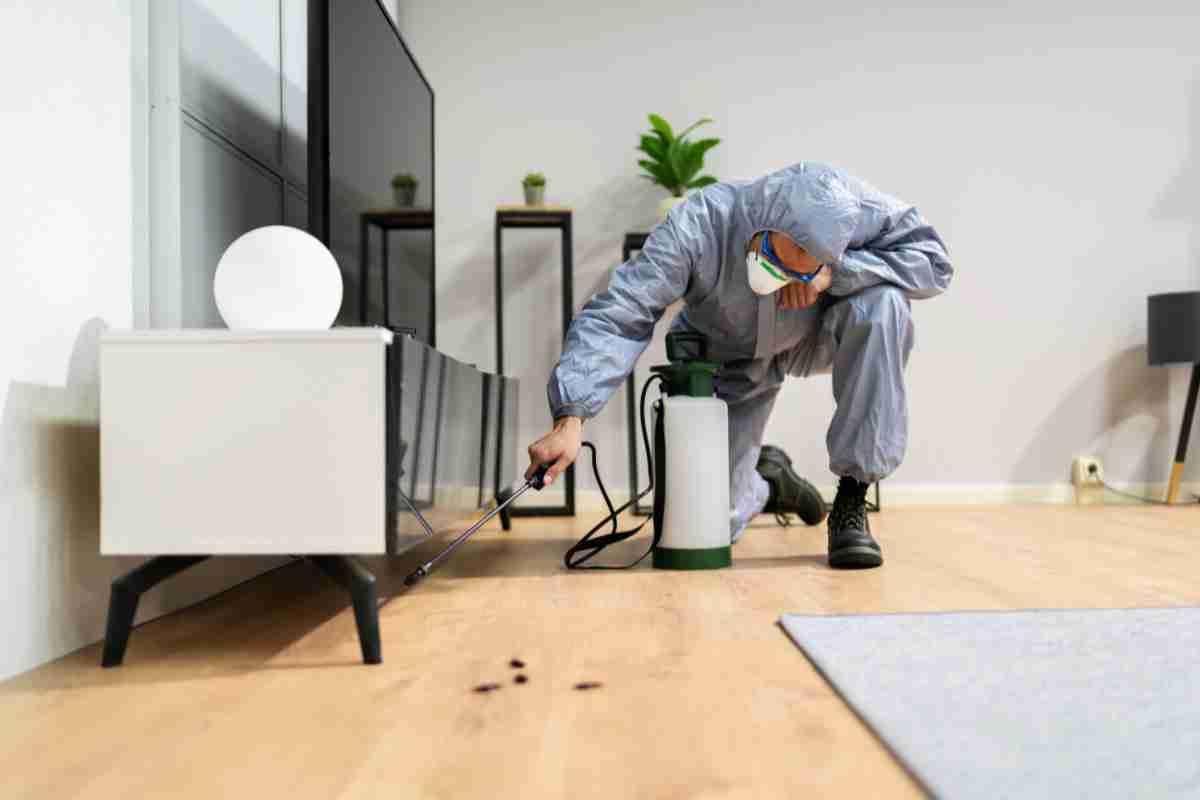 Ultimate Guide To Pest Control For Toronto Homes: Tackling Bed Bugs And More