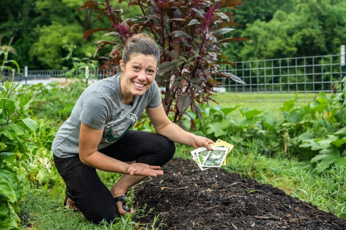 Gardening Season In Auckland: A Complete Month-by-Month Guide For 2026