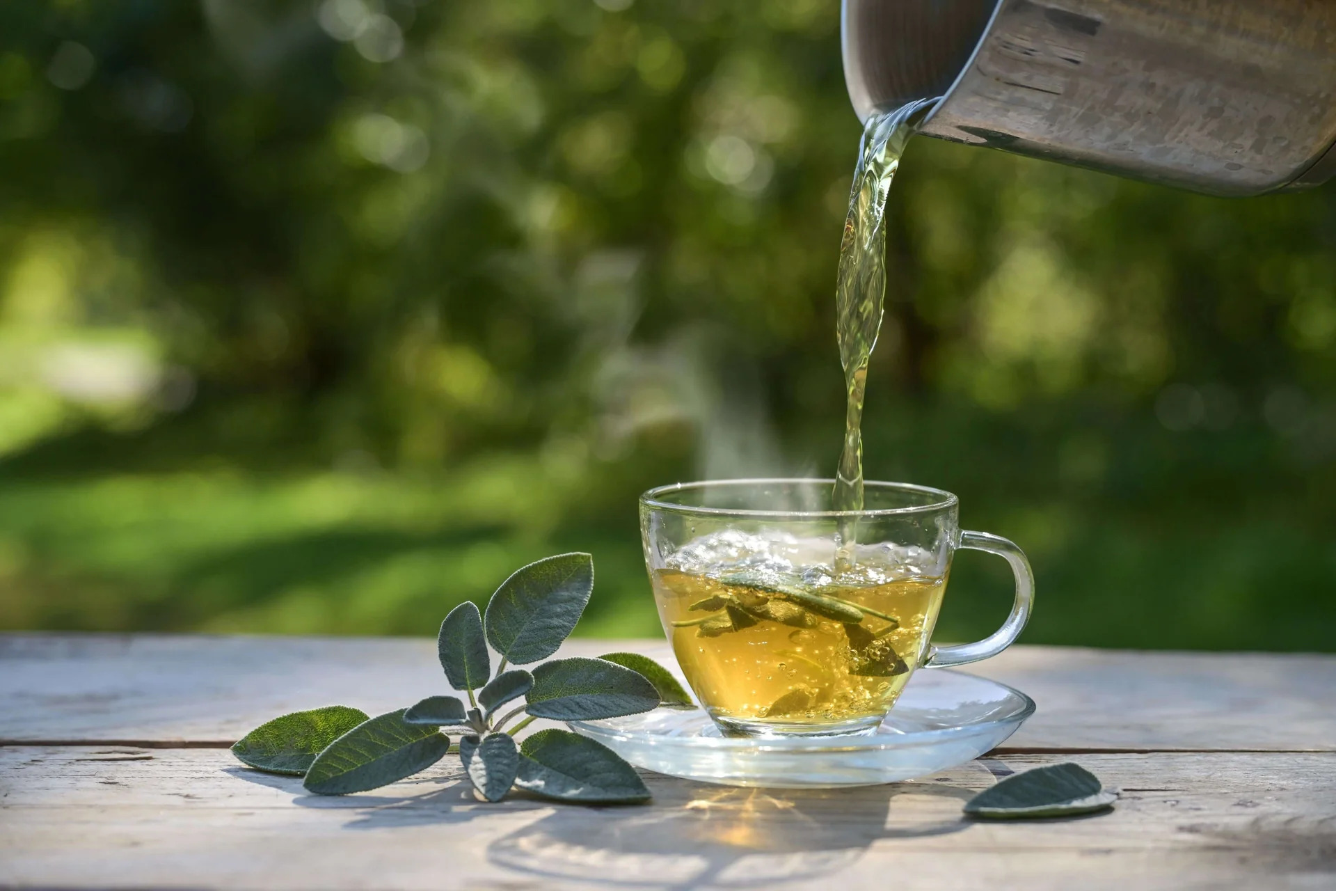How Loose Leaf Tea Companies Innovate Sustainability Practices?