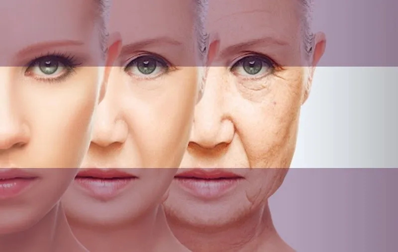 Mid-Face Ageing: Why Cheeks Lose Volume And Structure
