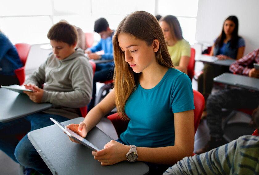 What Should Parents And Students Expect When Going To High School In New Zealand?