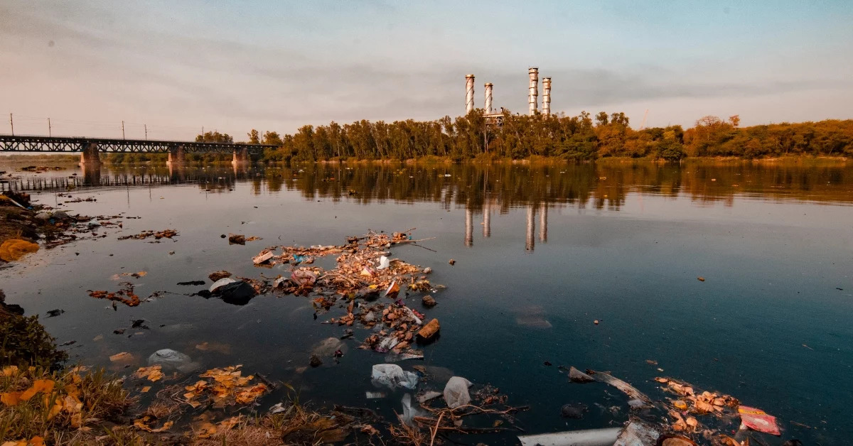 How To Prove Your Health Issues Were Caused By Environmental Contaminants