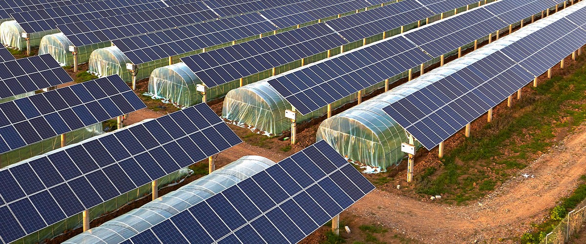How Agrivoltaics Help Farmers Earn From Solar And Crops