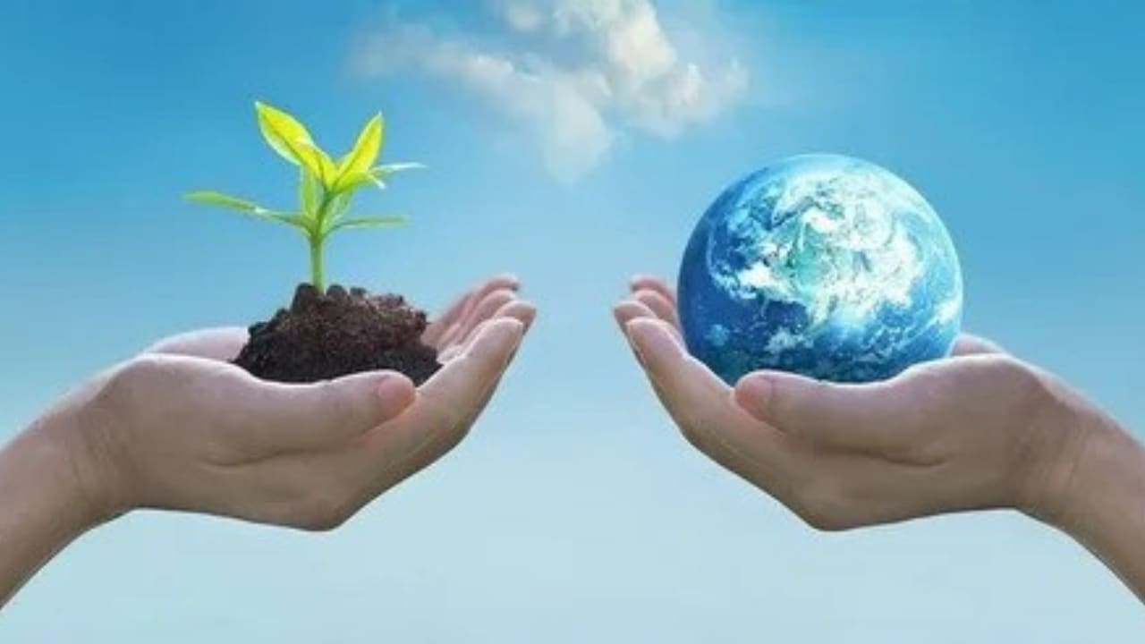 Edgenuity Earth Science Answers